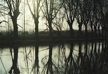 Winter on the Canal