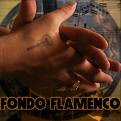 Fondo flamenco
