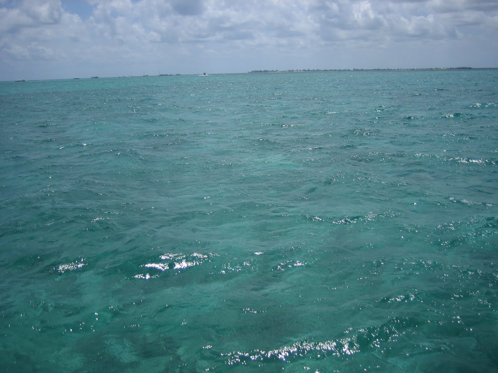 [IMG_4834.JPG]