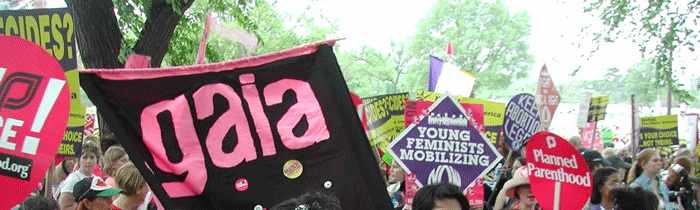 [actionheader.jpg]