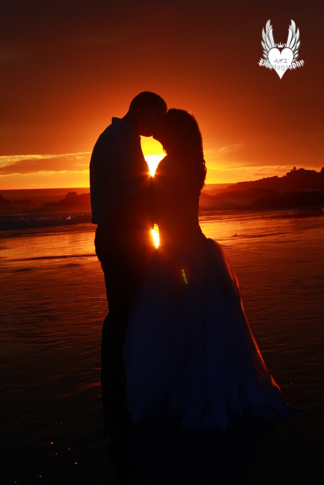 [IMG_8562ap.jpg]