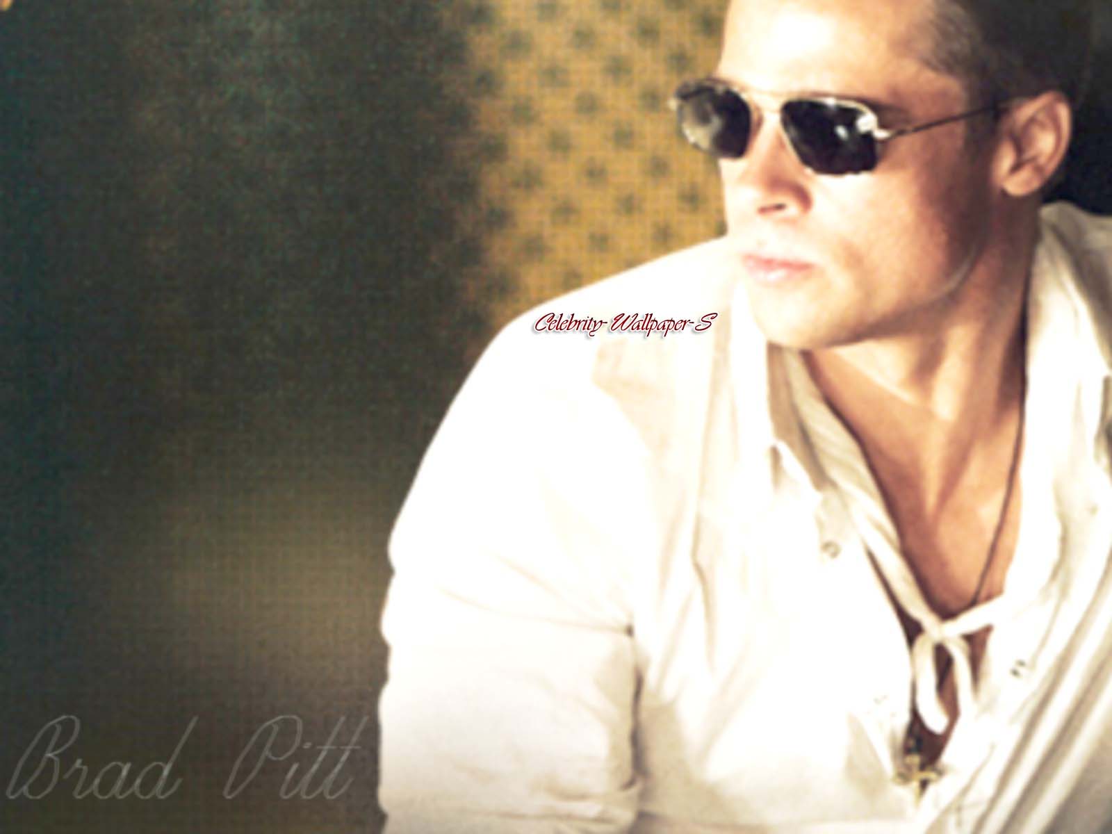 http://4.bp.blogspot.com/_zHx02JB4GE0/TSIc9E2H-9I/AAAAAAAAAbQ/Ce9xqYm29ws/s1600/Brad+Pitt+wallpaper+%25289%2529.jpg