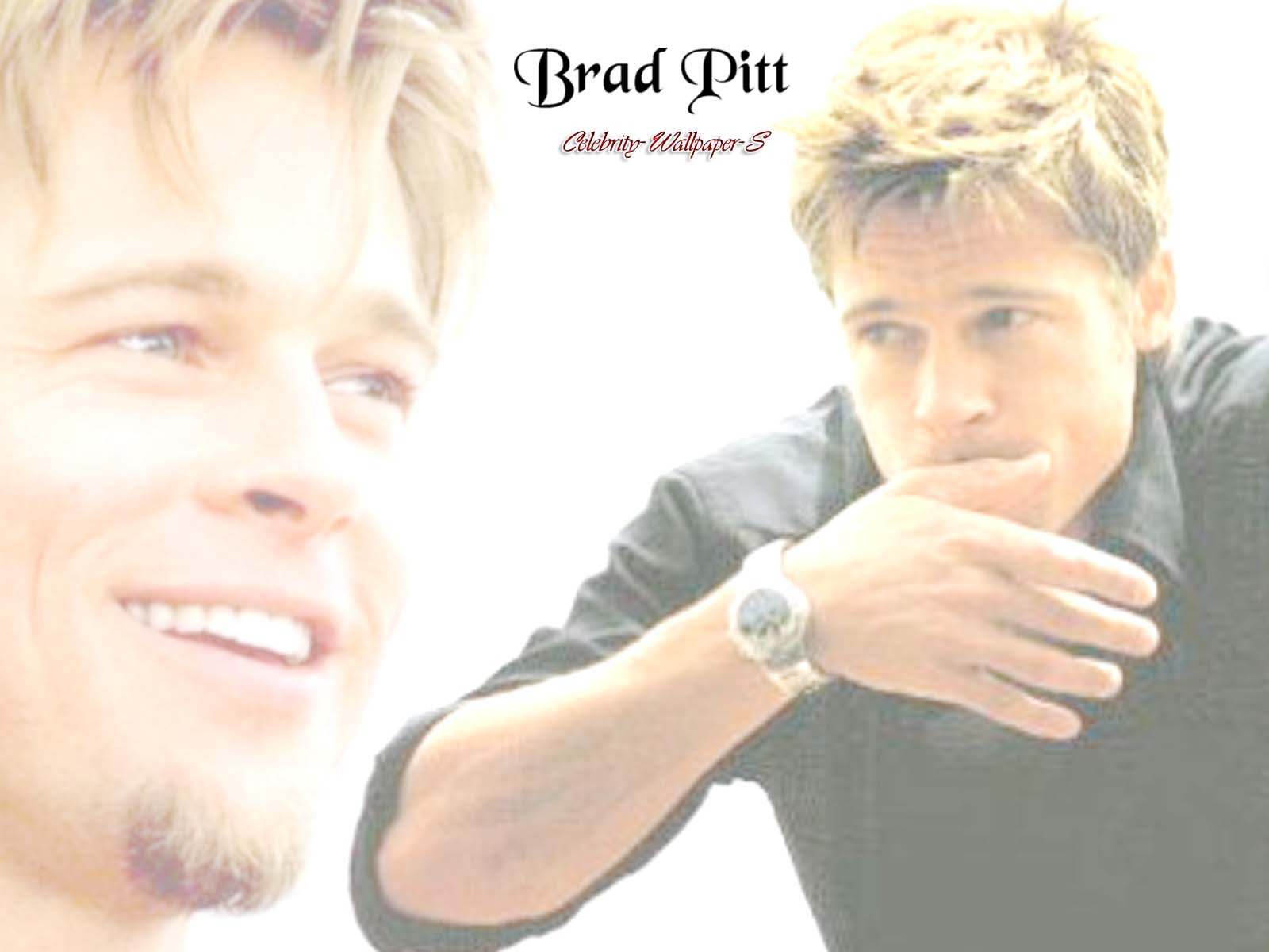 http://4.bp.blogspot.com/_zHx02JB4GE0/TSNzOQ94otI/AAAAAAAAAcQ/tS2qT2hivSc/s1600/Brad+Pitt+wallpaper+%252812%2529.jpg