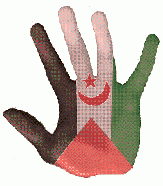 Nouvelles violations des droits de l’Homme au Sahara Occidental Mano+con+bandera+saharaui