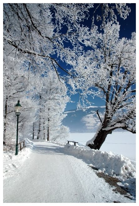 [Park_of_snow_by_jochem.jpg]