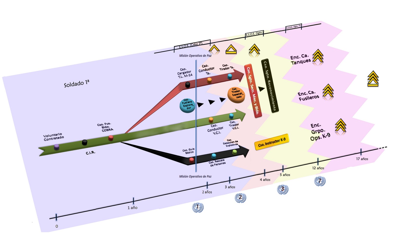 Plan De Carrera