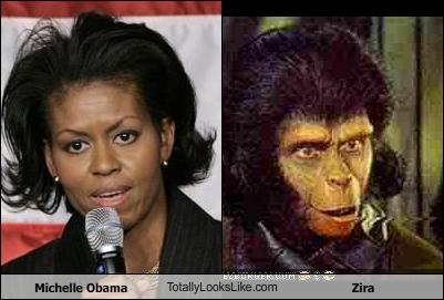 comparing+Michelle+Obama+to+Zira+of+planet+of+the+apes.jpg