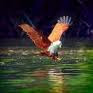Kilim riVer