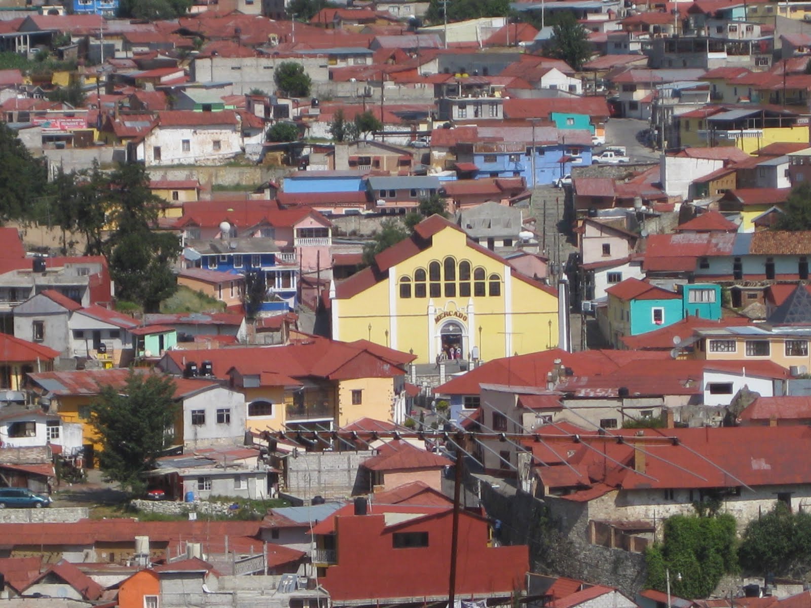 Small Fish in the Big Taco Magic Villages of Mexico...