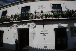 CASA MUSEO