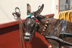 BURRITA CON CARRO