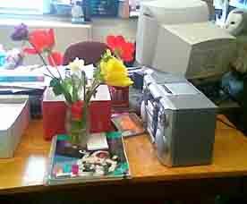 [desk+flowers+sm.jpg]