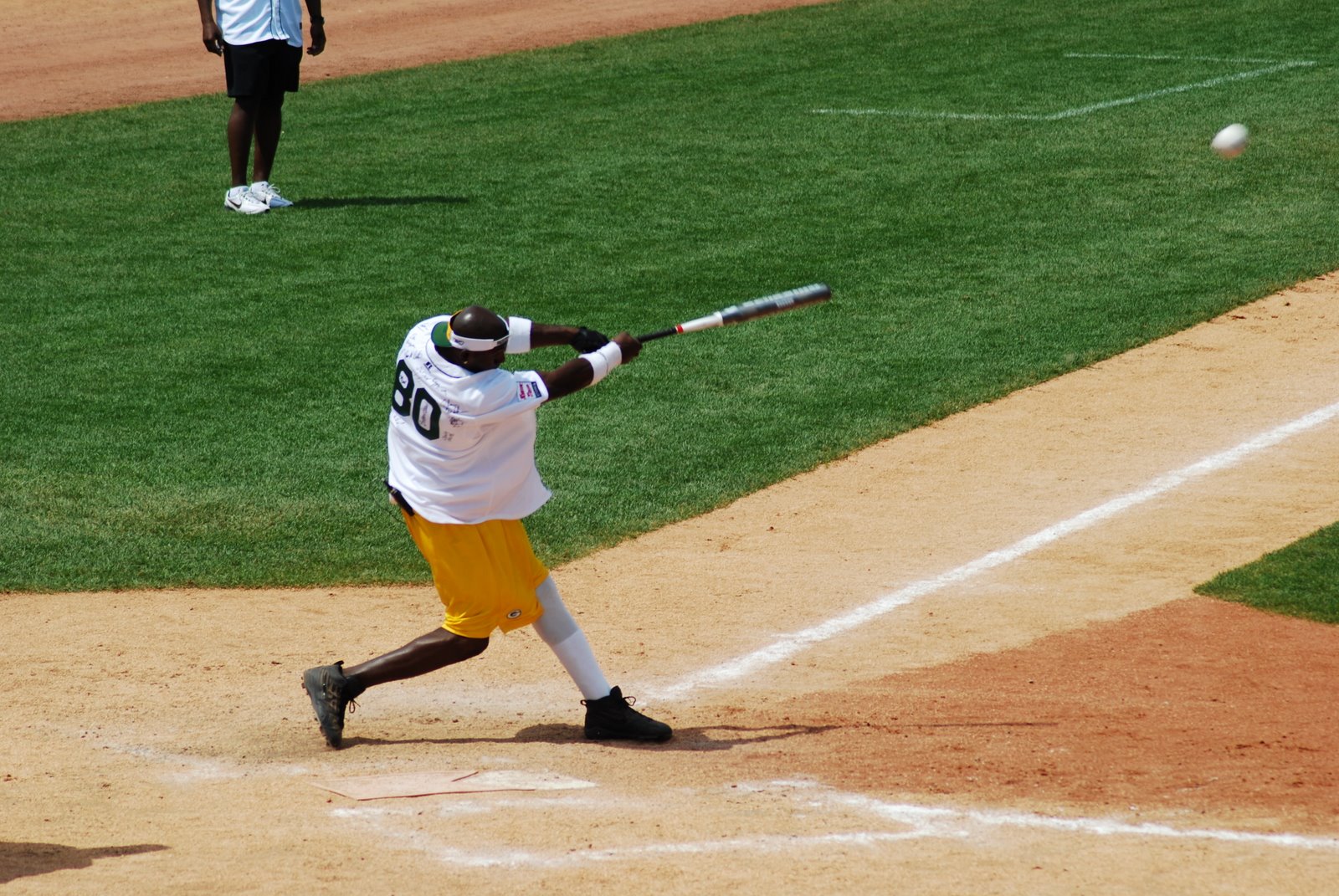 [driver+bats.JPG]
