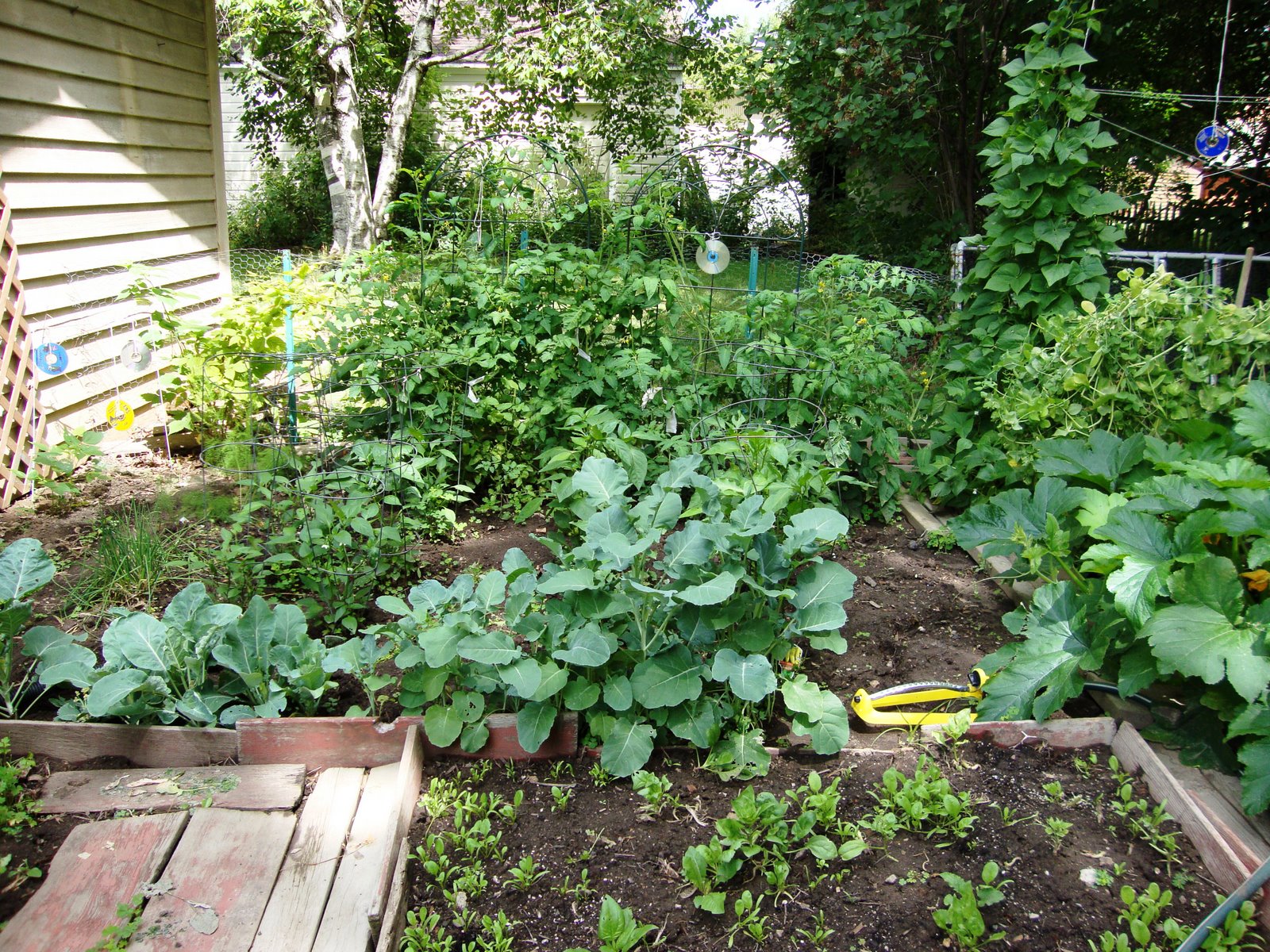 [garden+big.JPG]