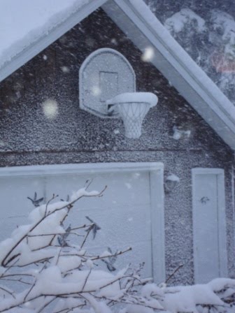 [ball+hoop.JPG]
