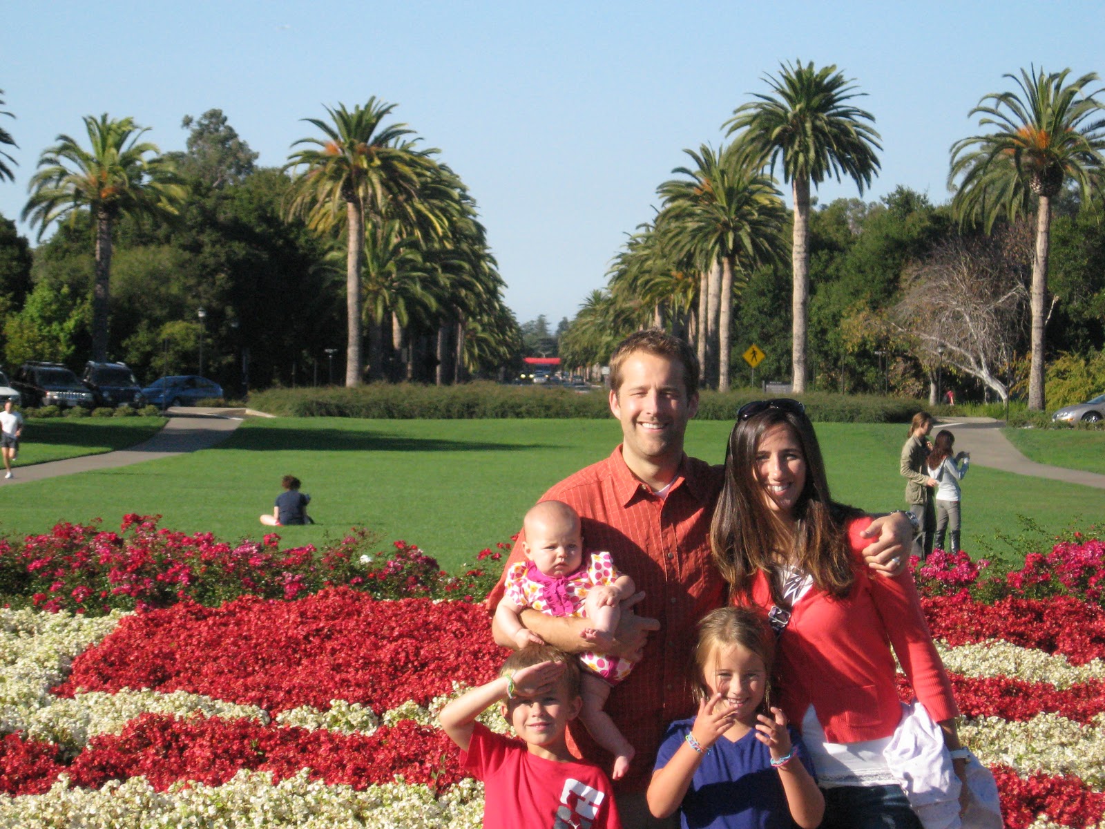 palm drive stanford