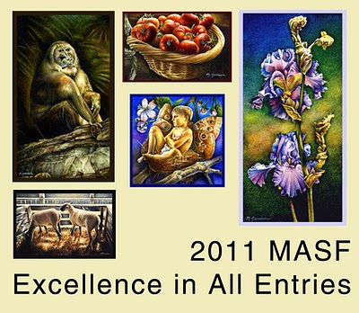 2011 MASF Excellence in All Entries Award