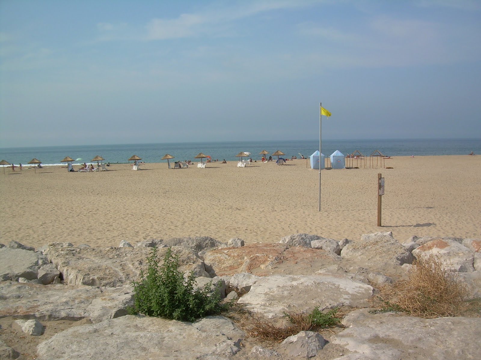 [DSCN8376.JPG]