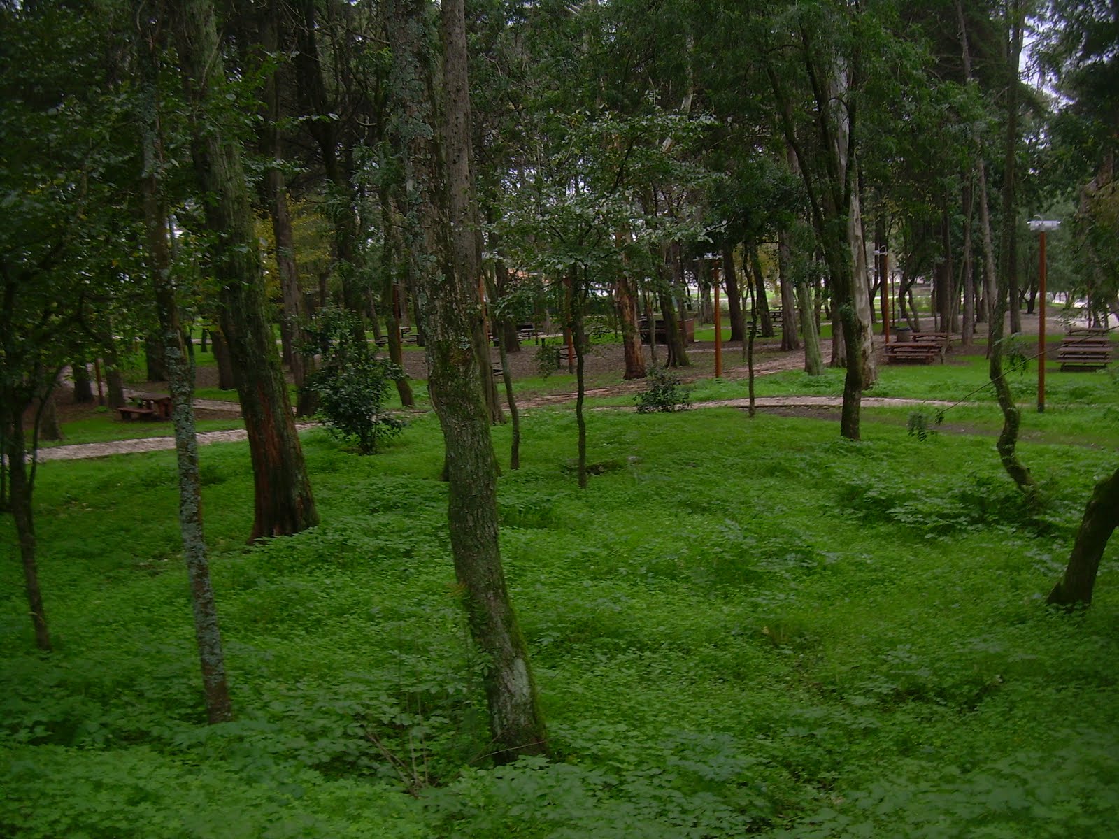 [DSCN9423.JPG]