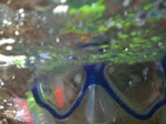 masker snorkeling