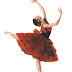 Festival internacional de ballet "Elogio a la danza"