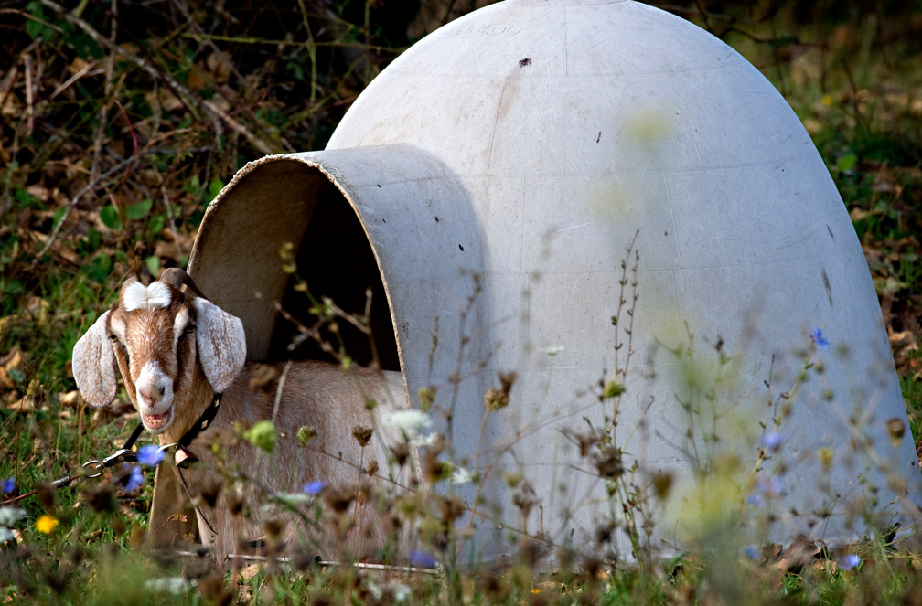 Robin Loznak Photography October 2010