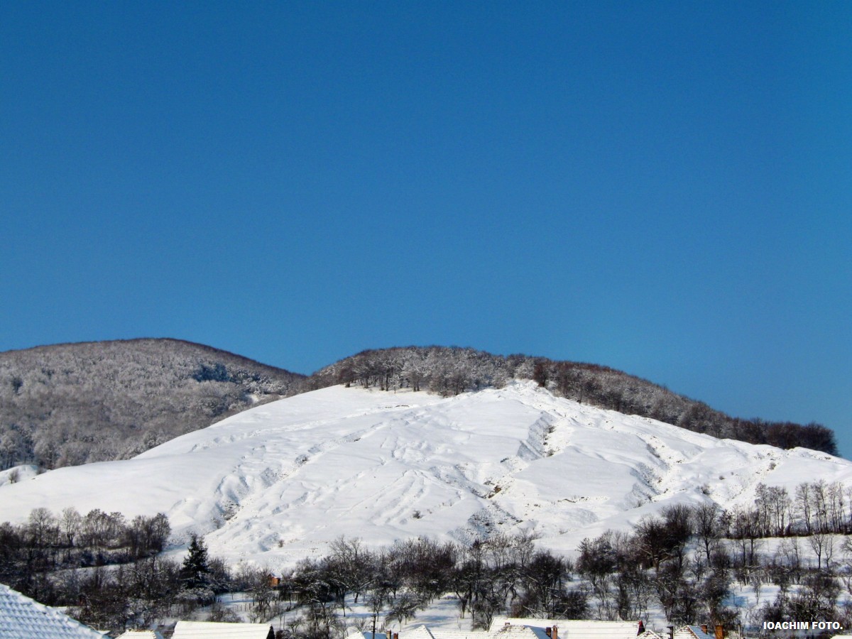 [08.03.2010+012.jpg]