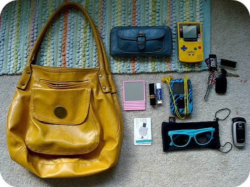 [purse.jpg]