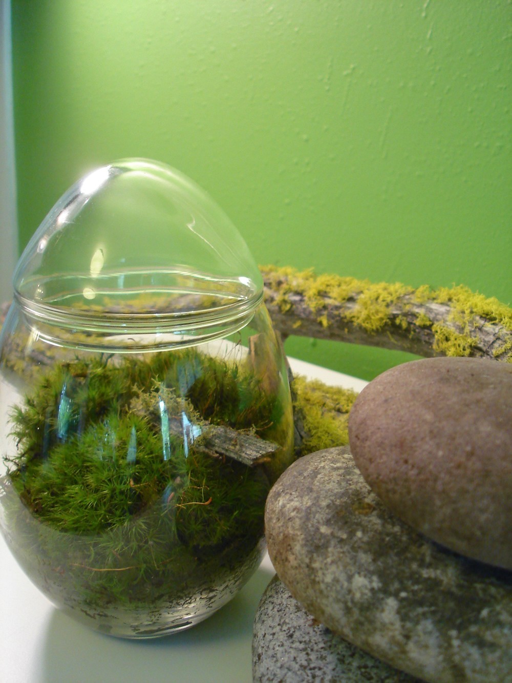 [il_fullxfull.73858276.jpg]