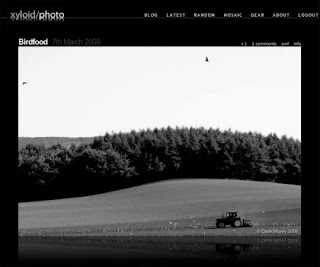 Free Gallery WordPress Themes for Photo Blogging!