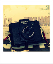 Holga 120N