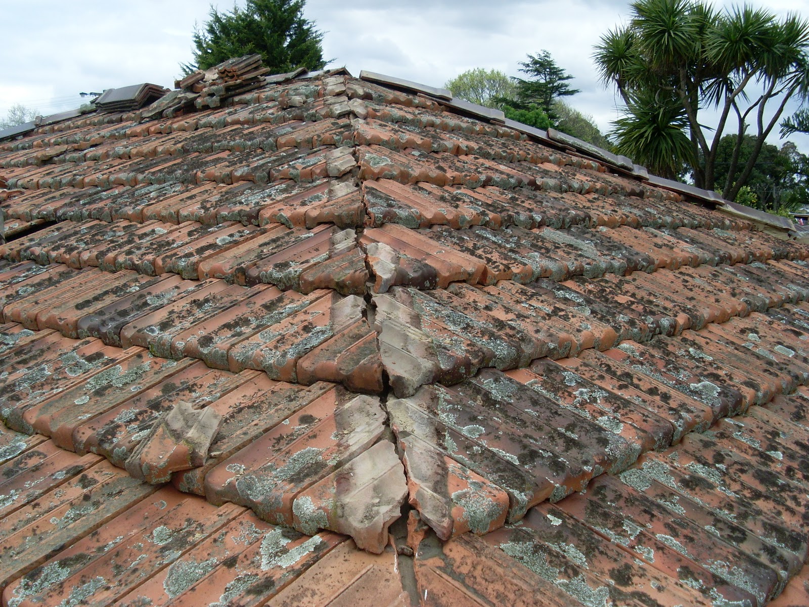 waynes home renos diy terra cotta roof tiled roof repairs