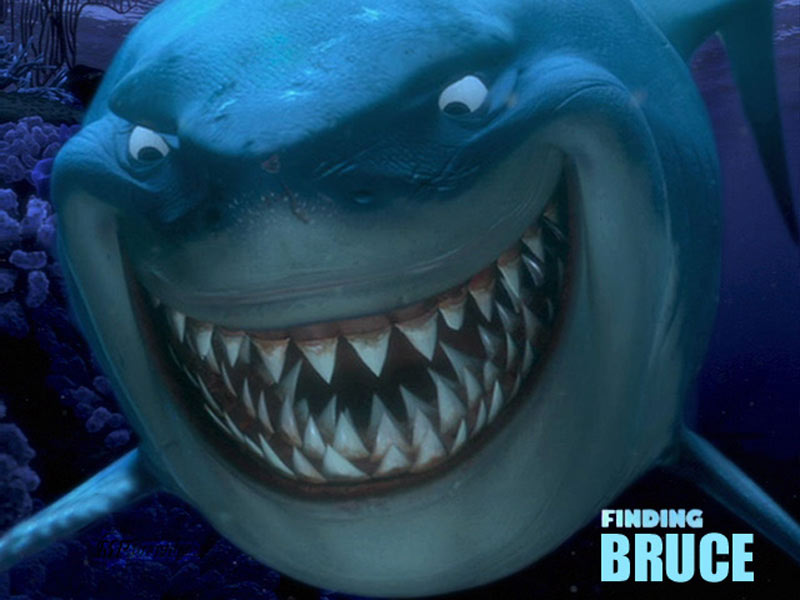 Large sharks Best Cartoon Large sharks Best Cartoon