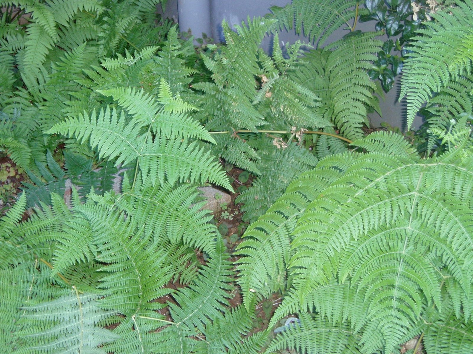 [P1010039.JPG]