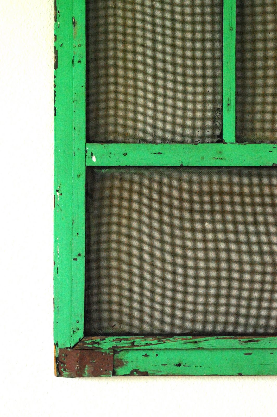 [DSC_0022.JPG]