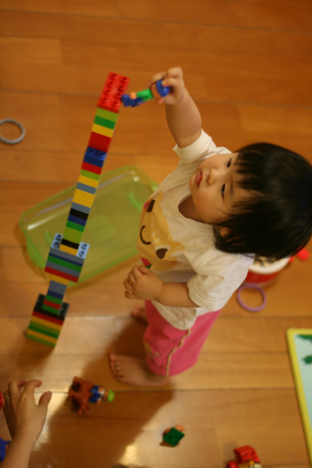 [IMG_8684.JPG]