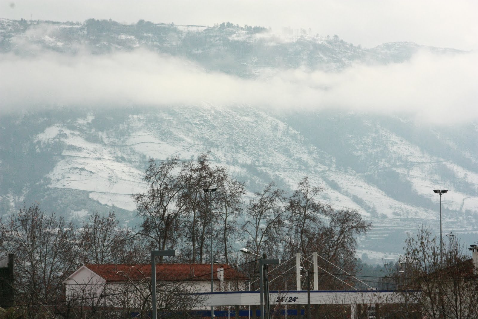 [IMG_9535.JPG]