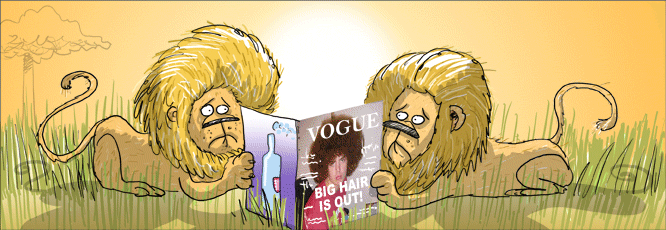 [StripHandler.ashx.gif]