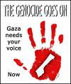 Stop Genocide on Gaza