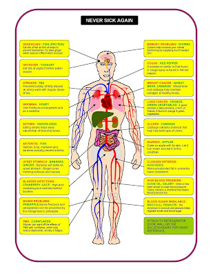Human Diet Picture