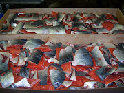 Salmon ( trim pieces)