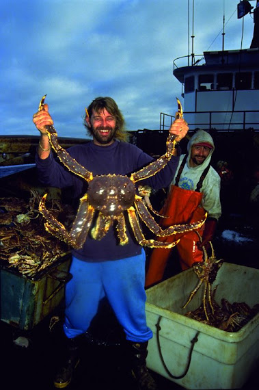 King Crabs