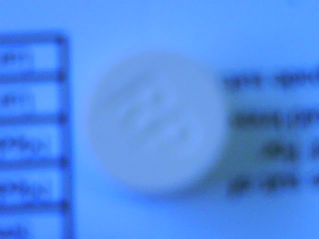 [DSC02532.JPG]