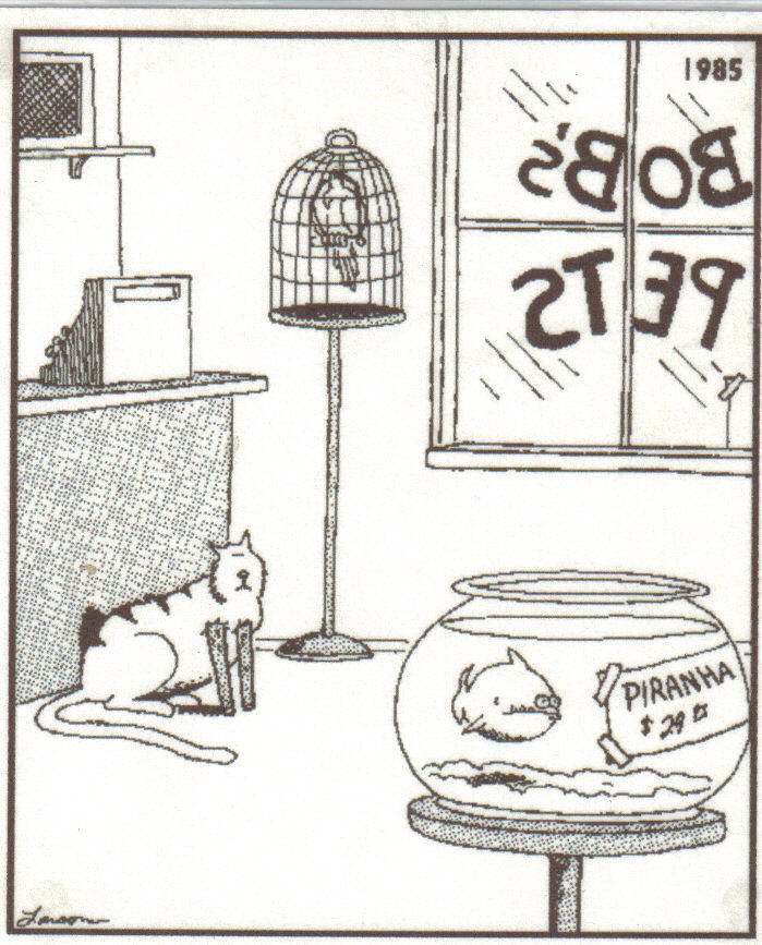 [larson.bmp]