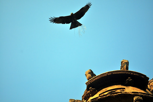 mosques of ahmedabad pir kamal malik alim masjid islam muslim