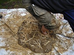 [2466305301_24eaecc9a4_m.jpg]