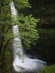 [2526670895_733fe65815_m.jpg]