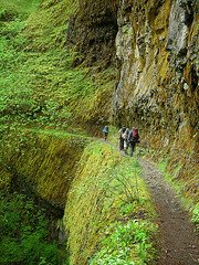 [2526680709_28db50e67e_m.jpg]