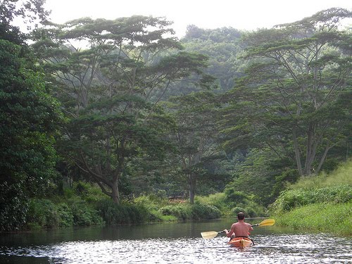 [4071375918_42cef03082.jpg]