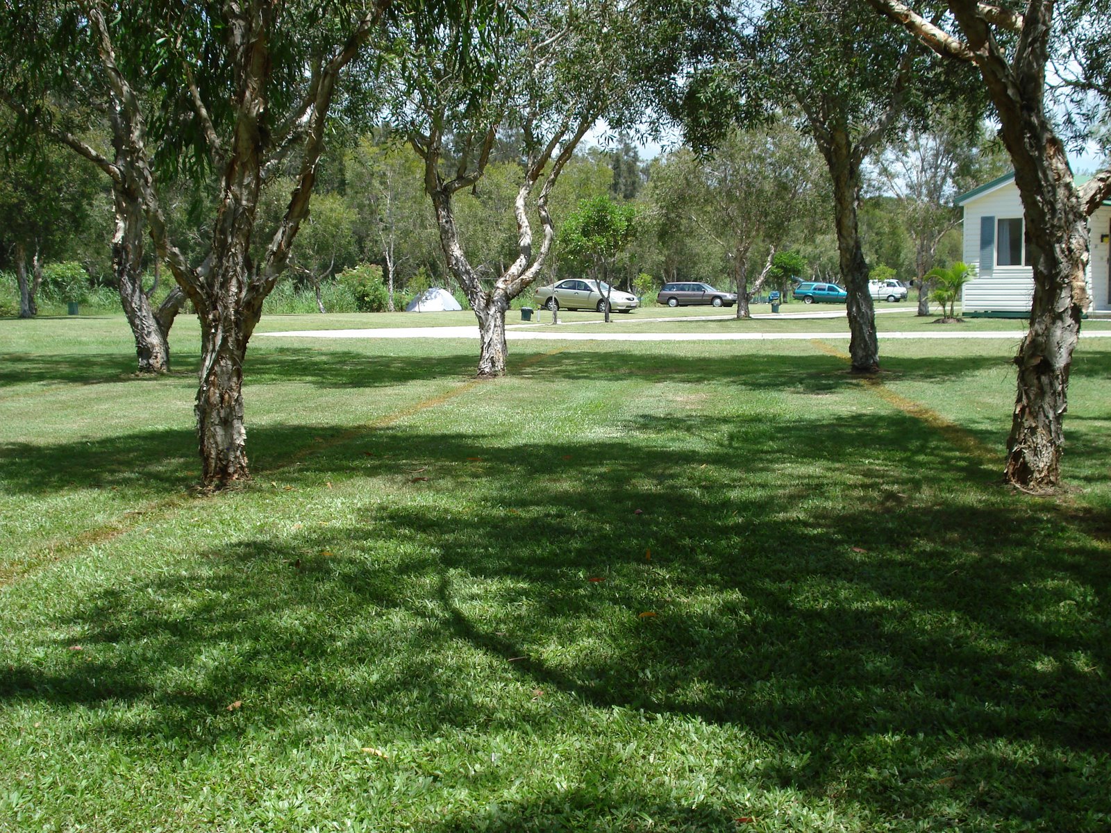 [DSC08577.JPG]